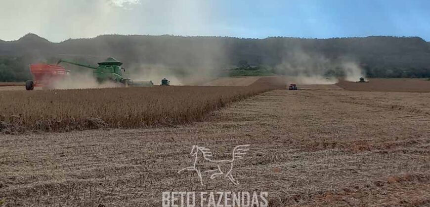 Fazenda à Venda 30.000 hectares Estrutura Completa para Lavoura Soja e Milho | Balsas/ MA