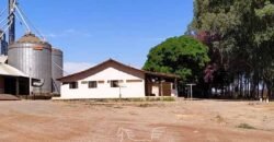 Fazenda de Milho e Grão à Venda 13.530 hectares Estrutura Completa | Sinop/MT