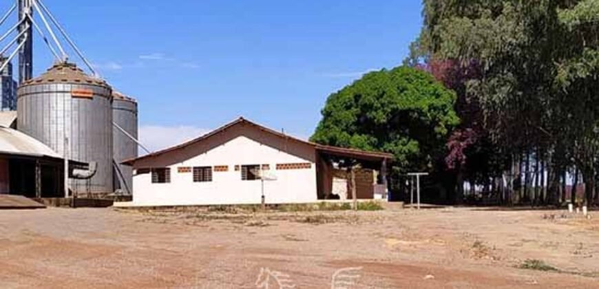 Fazenda de Milho e Grão à Venda 13.530 hectares Estrutura Completa | Sinop/MT