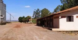 Fazenda de Milho e Grão à Venda 13.530 hectares Estrutura Completa | Sinop/MT