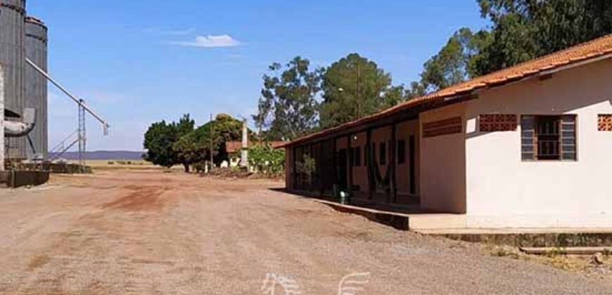 Fazenda de Milho e Grão à Venda 13.530 hectares Estrutura Completa | Sinop/MT
