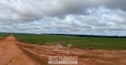 Fazenda de Milho e Grão à Venda 13.530 hectares Estrutura Completa | Sinop/MT