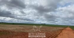 Fazenda de Milho e Grão à Venda 13.530 hectares Estrutura Completa | Sinop/MT