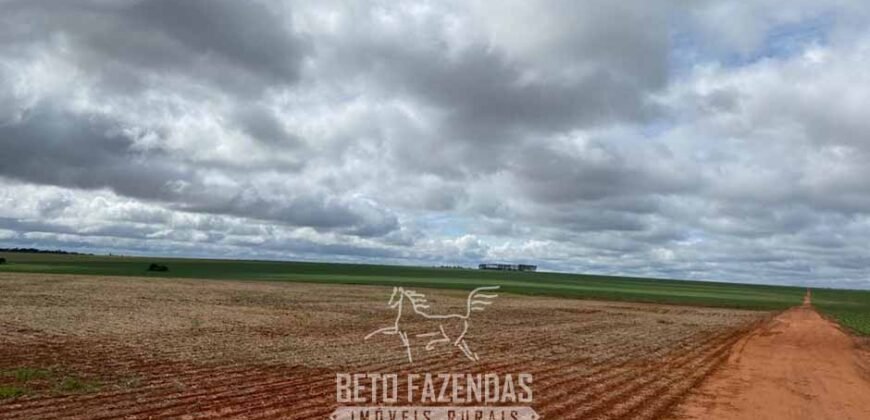 Fazenda de Milho e Grão à Venda 13.530 hectares Estrutura Completa | Sinop/MT