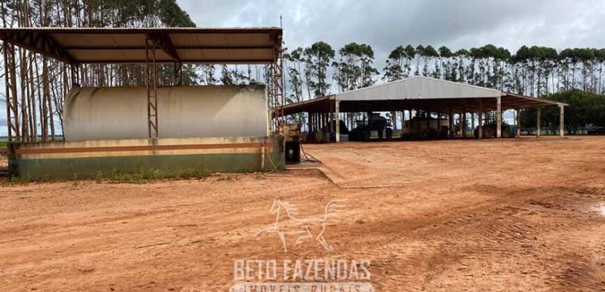 Fazenda de Milho e Grão à Venda 13.530 hectares Estrutura Completa | Sinop/MT