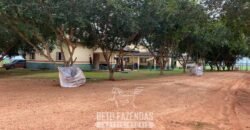Fazenda de Milho e Grão à Venda 13.530 hectares Estrutura Completa | Sinop/MT