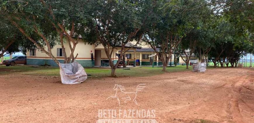 Fazenda de Milho e Grão à Venda 13.530 hectares Estrutura Completa | Sinop/MT