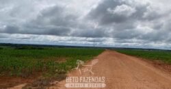 Fazenda de Milho e Grão à Venda 13.530 hectares Estrutura Completa | Sinop/MT
