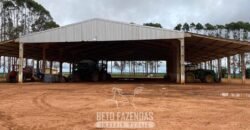 Fazenda de Milho e Grão à Venda 13.530 hectares Estrutura Completa | Sinop/MT