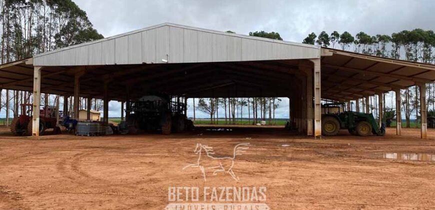 Fazenda de Milho e Grão à Venda 13.530 hectares Estrutura Completa | Sinop/MT