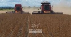 Fazenda de Milho e Grão à Venda 13.530 hectares Estrutura Completa | Sinop/MT