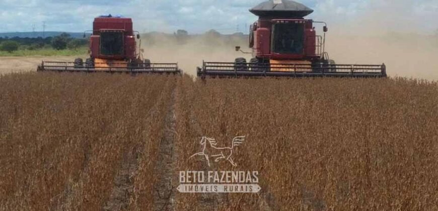 Fazenda de Milho e Grão à Venda 13.530 hectares Estrutura Completa | Sinop/MT