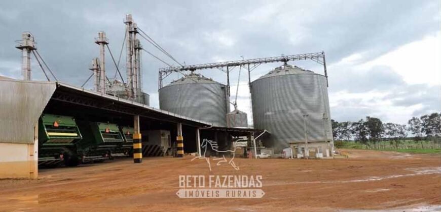 Fazenda de Milho e Grão à Venda 13.530 hectares Estrutura Completa | Sinop/MT