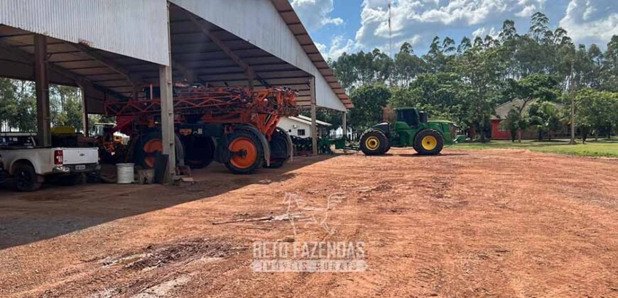 Fazenda de Milho e Grão à Venda 13.530 hectares Estrutura Completa | Sinop/MT