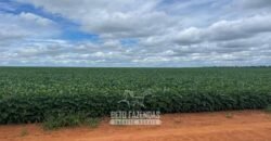 Fazenda de Milho e Grão à Venda 13.530 hectares Estrutura Completa | Sinop/MT