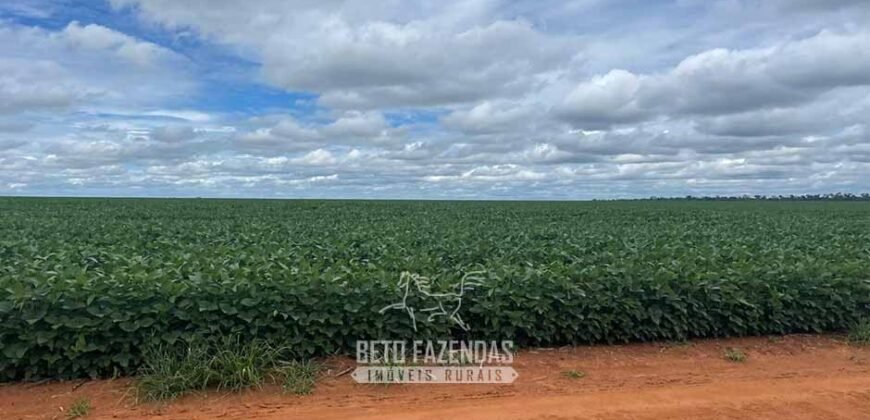 Fazenda de Milho e Grão à Venda 13.530 hectares Estrutura Completa | Sinop/MT
