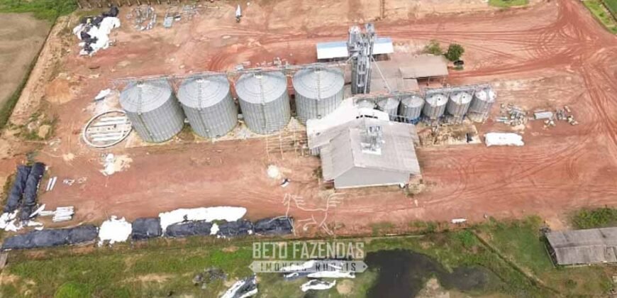Fazenda à Venda 5.200 hectares Lavoura de Soja e Milho c/ Armazenamento | Tailândia / PA