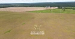 Fazenda à Venda 5.200 hectares Lavoura de Soja e Milho c/ Armazenamento | Tailândia / PA