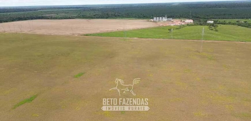 Fazenda à Venda 5.200 hectares Lavoura de Soja e Milho c/ Armazenamento | Tailândia / PA
