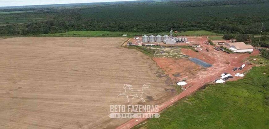 Fazenda à Venda 5.200 hectares Lavoura de Soja e Milho c/ Armazenamento | Tailândia / PA