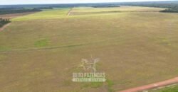 Fazenda à Venda 5.200 hectares Lavoura de Soja e Milho c/ Armazenamento | Tailândia / PA