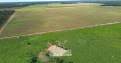 Fazenda à Venda 5.200 hectares Lavoura de Soja e Milho c/ Armazenamento | Tailândia / PA