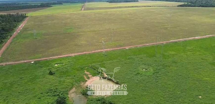 Fazenda à Venda 5.200 hectares Lavoura de Soja e Milho c/ Armazenamento | Tailândia / PA