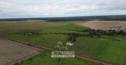 Fazenda à Venda 5.200 hectares Lavoura de Soja e Milho c/ Armazenamento | Tailândia / PA