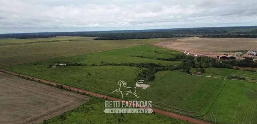 Fazenda à Venda 5.200 hectares Lavoura de Soja e Milho c/ Armazenamento | Tailândia / PA