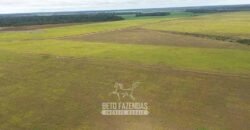 Fazenda à Venda 5.200 hectares Lavoura de Soja e Milho c/ Armazenamento | Tailândia / PA