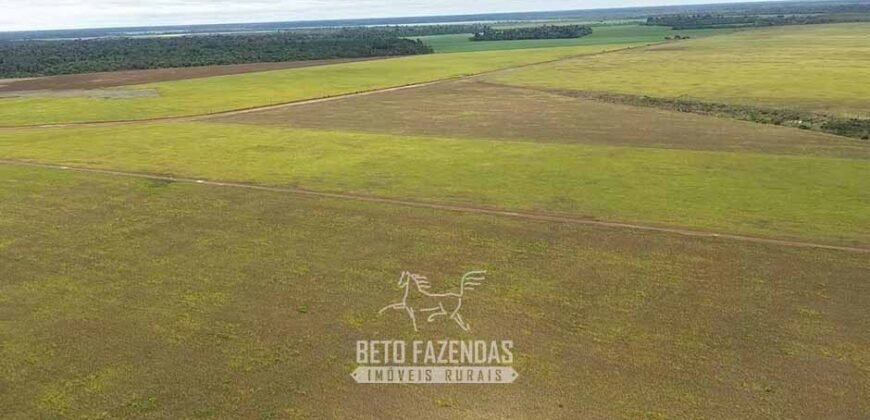 Fazenda à Venda 5.200 hectares Lavoura de Soja e Milho c/ Armazenamento | Tailândia / PA
