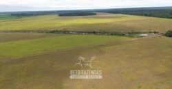 Fazenda à Venda 5.200 hectares Lavoura de Soja e Milho c/ Armazenamento | Tailândia / PA