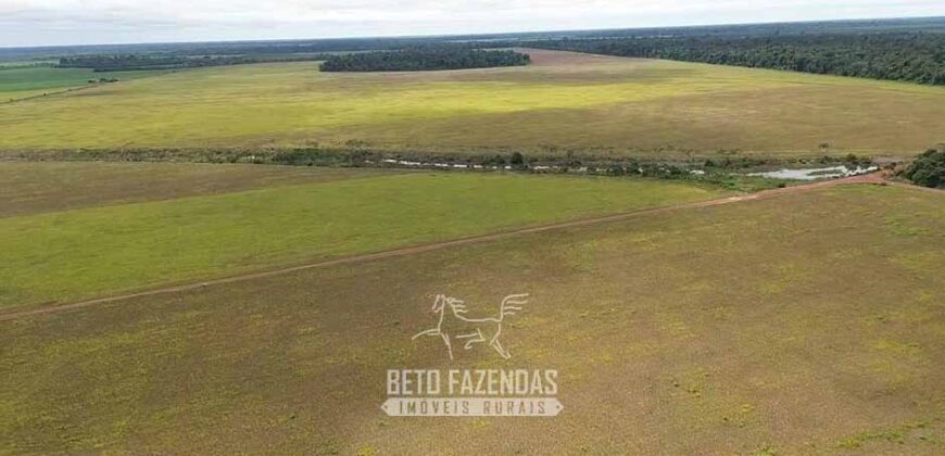 Fazenda à Venda 5.200 hectares Lavoura de Soja e Milho c/ Armazenamento | Tailândia / PA