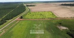 Fazenda à Venda 5.200 hectares Lavoura de Soja e Milho c/ Armazenamento | Tailândia / PA