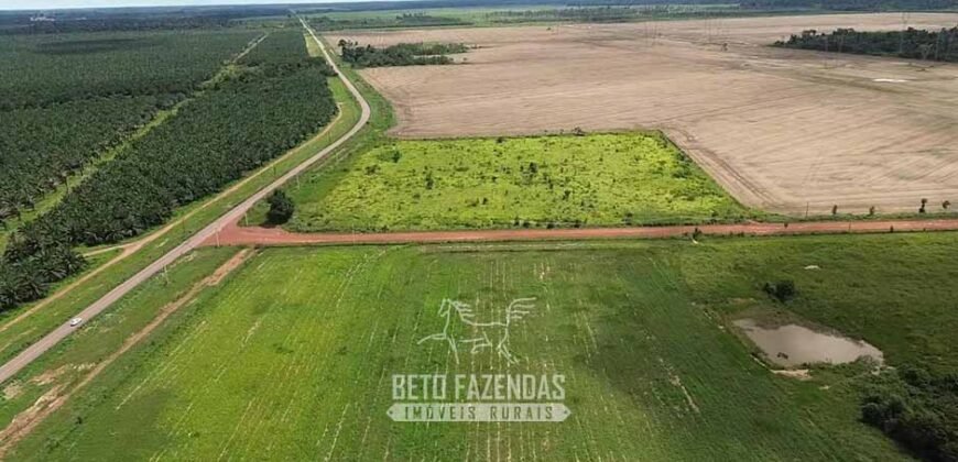 Fazenda à Venda 5.200 hectares Lavoura de Soja e Milho c/ Armazenamento | Tailândia / PA