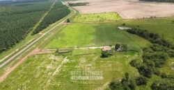 Fazenda à Venda 5.200 hectares Lavoura de Soja e Milho c/ Armazenamento | Tailândia / PA