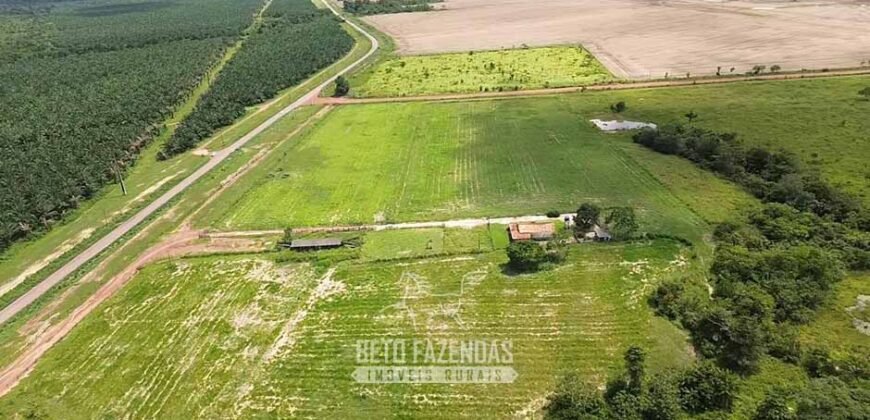Fazenda à Venda 5.200 hectares Lavoura de Soja e Milho c/ Armazenamento | Tailândia / PA