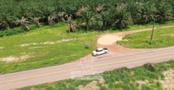 Fazenda à Venda 5.200 hectares Lavoura de Soja e Milho c/ Armazenamento | Tailândia / PA