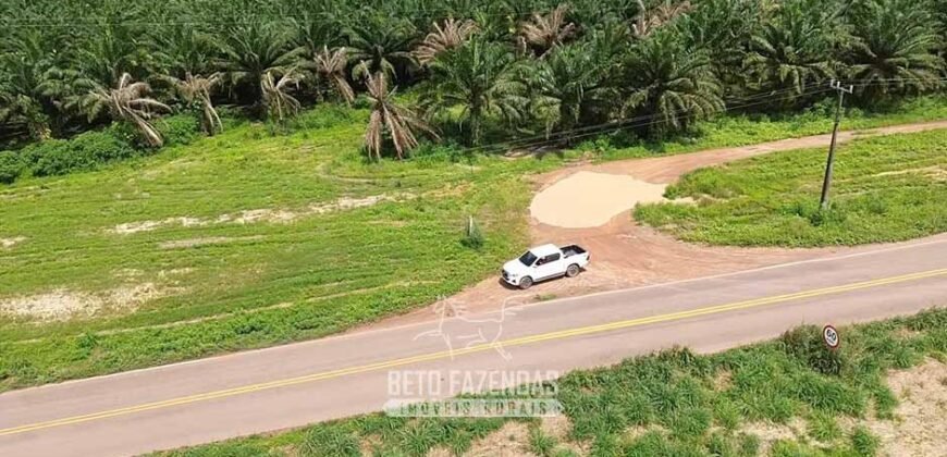 Fazenda à Venda 5.200 hectares Lavoura de Soja e Milho c/ Armazenamento | Tailândia / PA