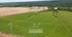 Fazenda à Venda 5.200 hectares Lavoura de Soja e Milho c/ Armazenamento | Tailândia / PA