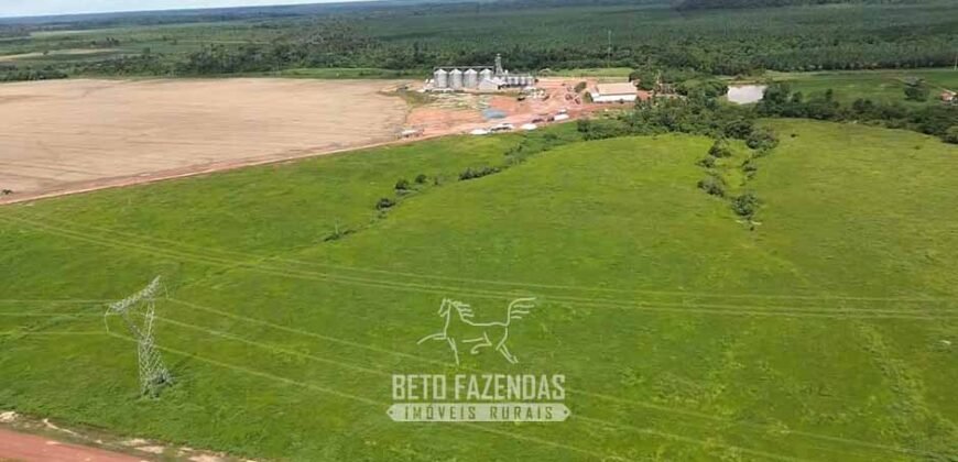 Fazenda à Venda 5.200 hectares Lavoura de Soja e Milho c/ Armazenamento | Tailândia / PA