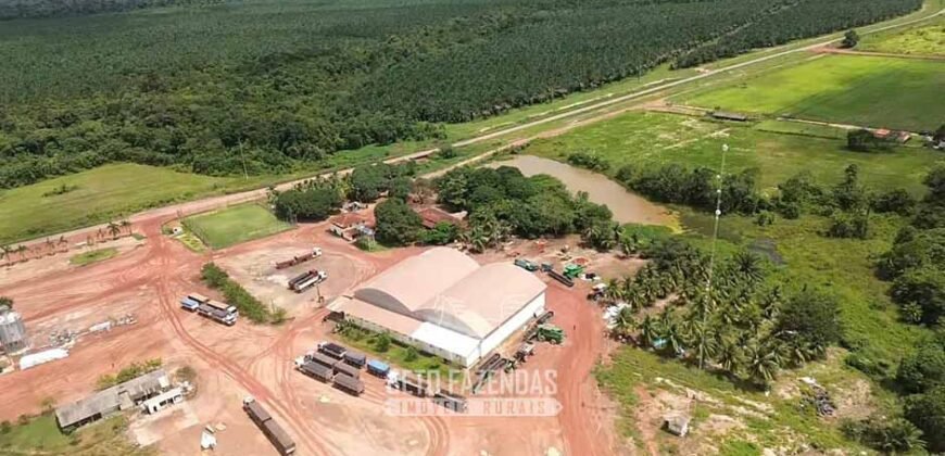 Fazenda à Venda 5.200 hectares Lavoura de Soja e Milho c/ Armazenamento | Tailândia / PA