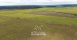 Fazenda à Venda 5.200 hectares Lavoura de Soja e Milho c/ Armazenamento | Tailândia / PA