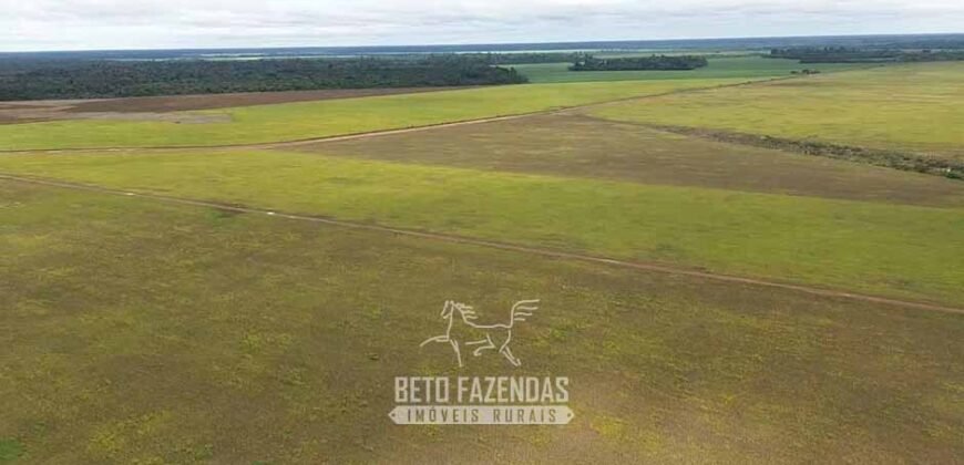 Fazenda à Venda 5.200 hectares Lavoura de Soja e Milho c/ Armazenamento | Tailândia / PA