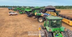 Fazenda à Venda 5.200 hectares Lavoura de Soja e Milho c/ Armazenamento | Tailândia / PA