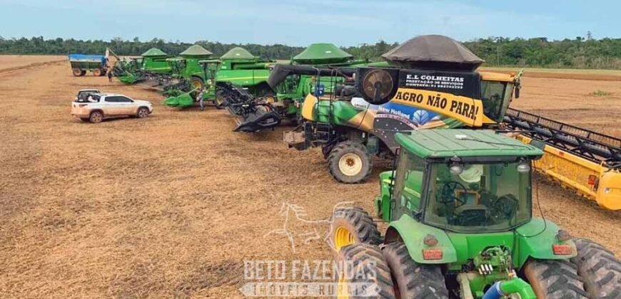 Fazenda à Venda 5.200 hectares Lavoura de Soja e Milho c/ Armazenamento | Tailândia / PA