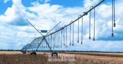 Fazenda à Venda 5.200 hectares Lavoura de Soja e Milho c/ Armazenamento | Tailândia / PA