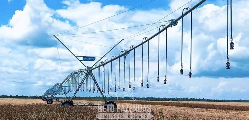 Fazenda à Venda 5.200 hectares Lavoura de Soja e Milho c/ Armazenamento | Tailândia / PA