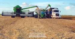 Fazenda à Venda 5.200 hectares Lavoura de Soja e Milho c/ Armazenamento | Tailândia / PA