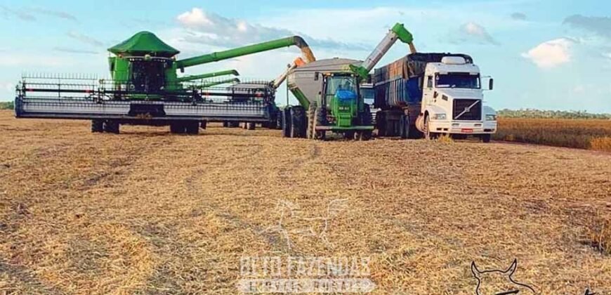 Fazenda à Venda 5.200 hectares Lavoura de Soja e Milho c/ Armazenamento | Tailândia / PA